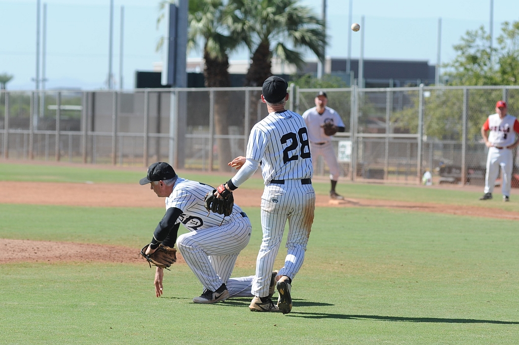 Seals_2019-10-09 (338).JPG - (c)2010 DeVetter